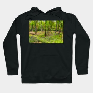 Bluebell Woodland Hoodie